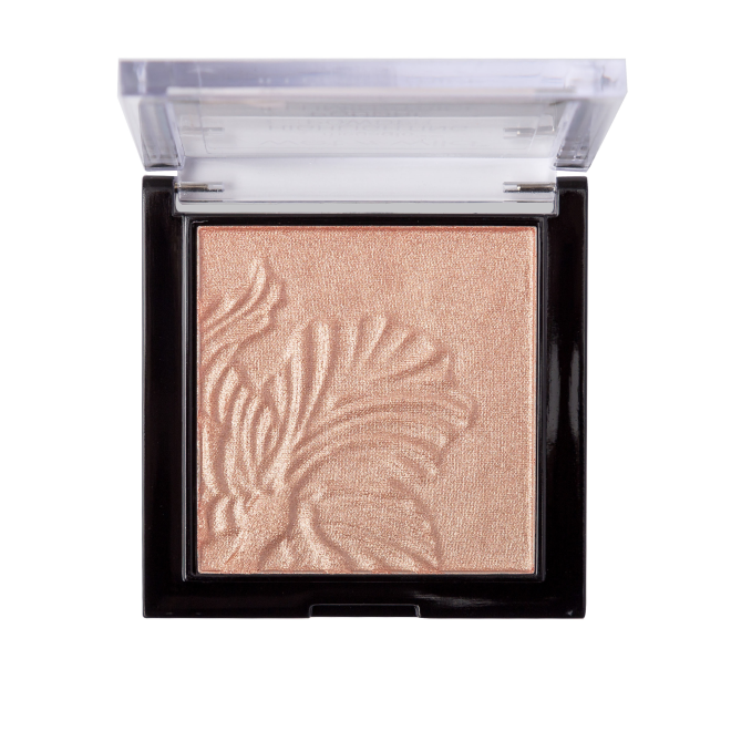 Highlight powder MEGA GLO